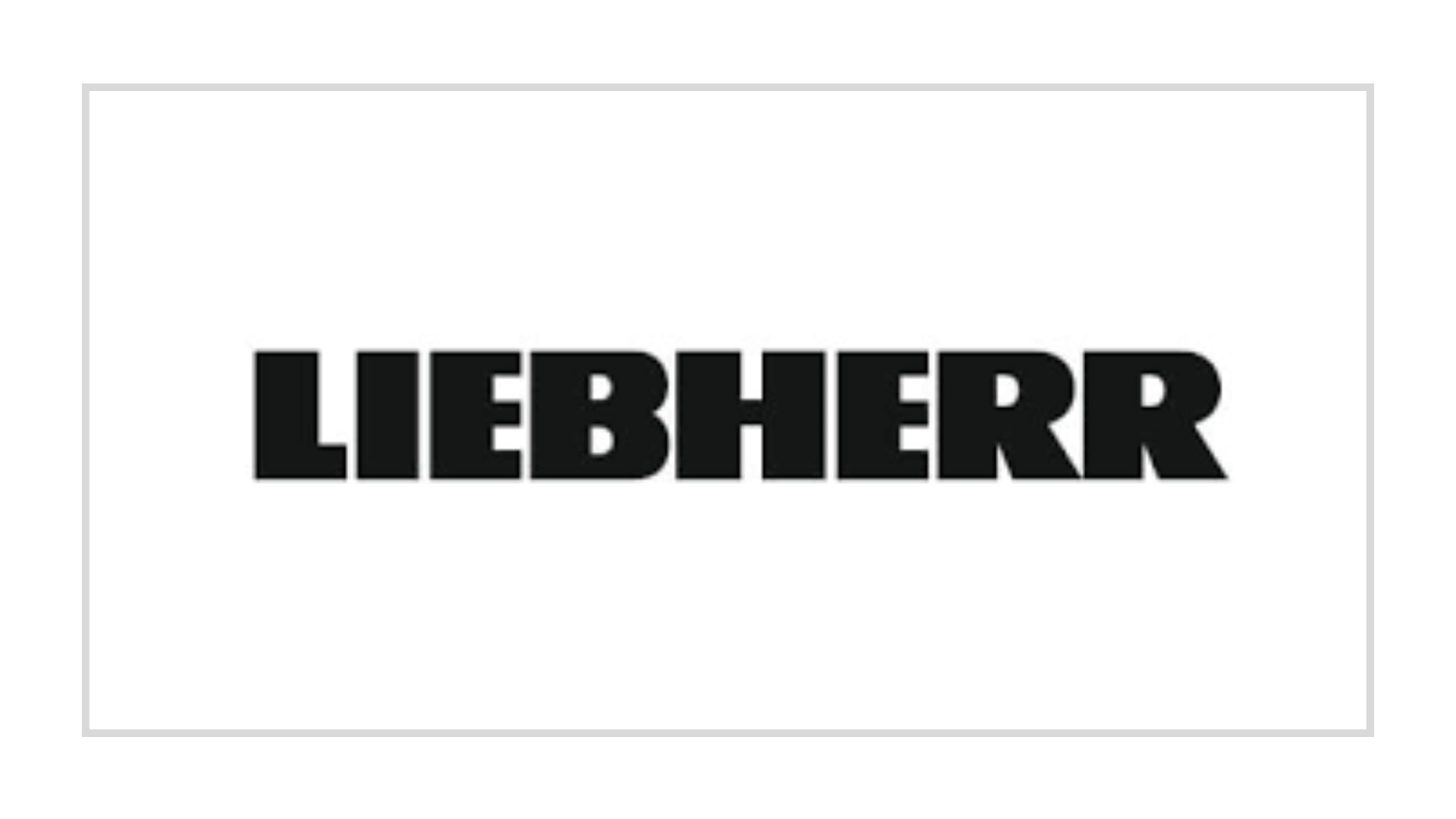 Logo LIEBHERR Frank Wortmann Consulting