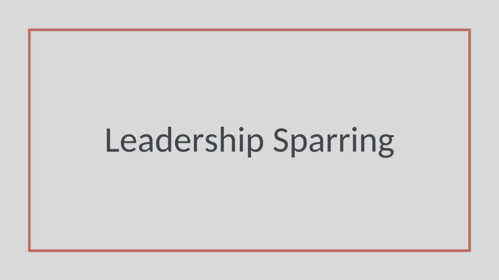Kachel Leadership Sparring